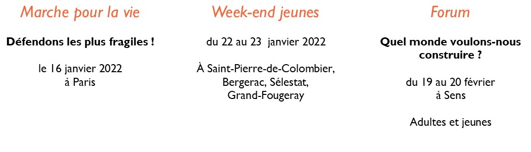 A11 annonces.jpg